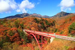 赤い橋の紅葉